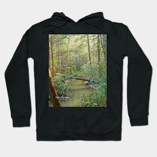 Mist-erious Hoodie